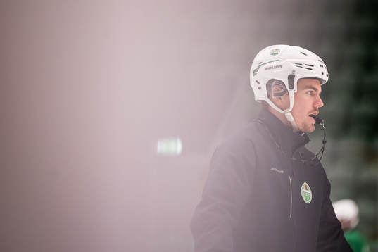 Ludvig Nilsson, Idrottspsykologisk rådgivare i ishockey