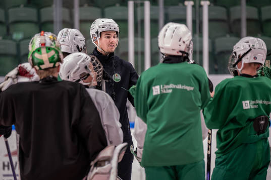 Ludvig Nilsson, Idrottspsykologisk rådgivare i ishockey