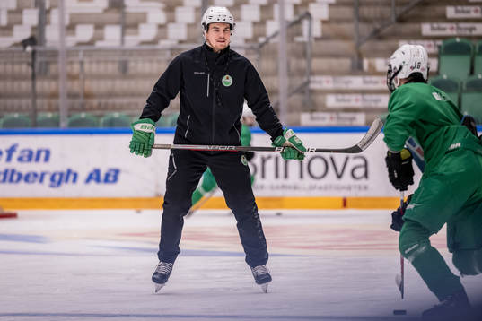Ludvig Nilsson, Idrottspsykologisk rådgivare i ishockey
