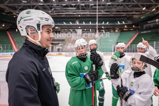 Ludvig Nilsson, Idrottspsykologisk rådgivare i ishockey