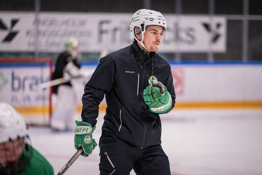 Ludvig Nilsson, Idrottspsykologisk rådgivare i ishockey