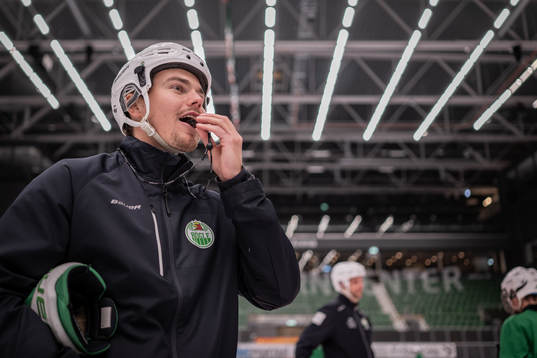 Ludvig Nilsson, Idrottspsykologisk rådgivare i ishockey