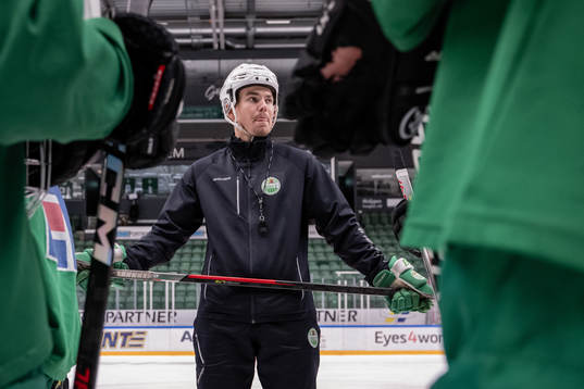 Ludvig Nilsson, Idrottspsykologisk rådgivare i ishockey