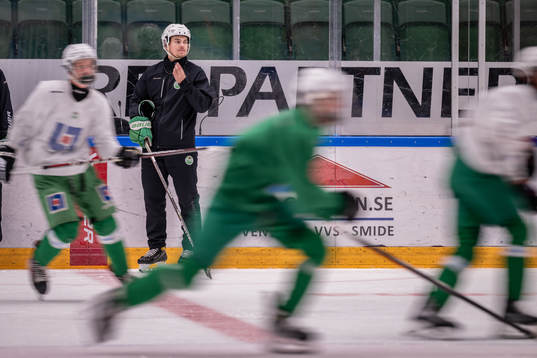 Ludvig Nilsson, Idrottspsykologisk rådgivare i ishockey