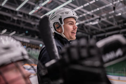Ludvig Nilsson, Idrottspsykologisk rådgivare i ishockey