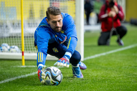Goalkeeper Kristoffer Nordfeldt of the Swedish national