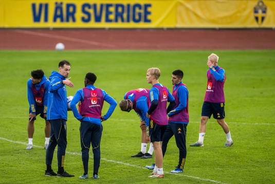Sveriges Förbundskapten Daniel Bäckström