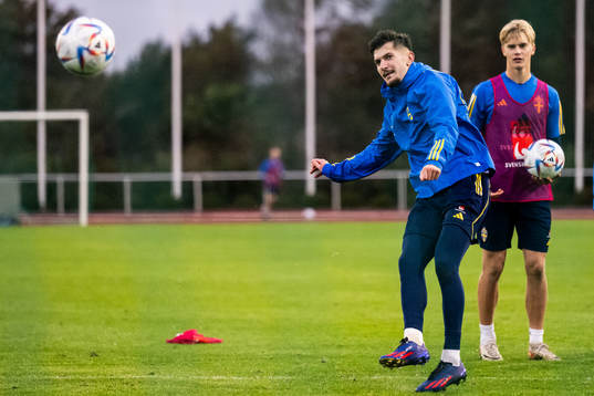 Armin Gigovic