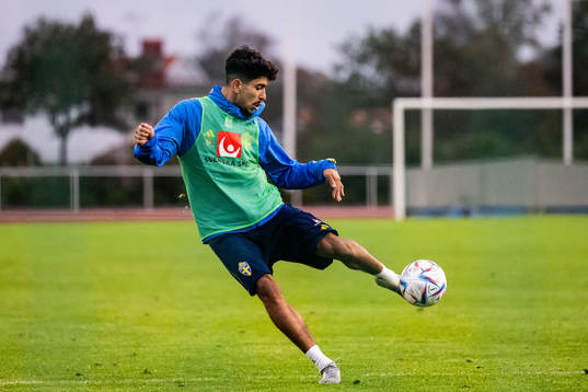 Ahmed Qasem