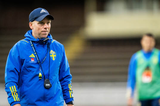 Assisterande förbundskapten Viktor Eriksson