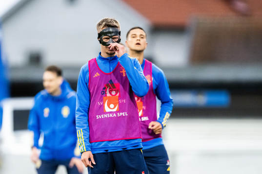 Joel Voelkerling Persson