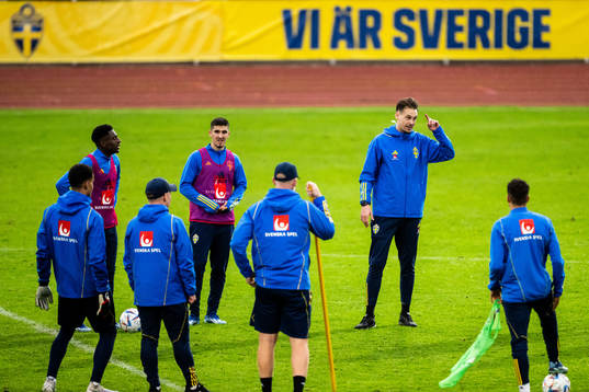 Förbundskapten Daniel Bäckström