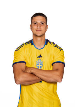 Zinedin Smajlovic