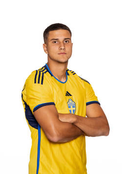 Zinedin Smajlovic