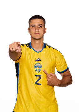 Zinedin Smajlovic