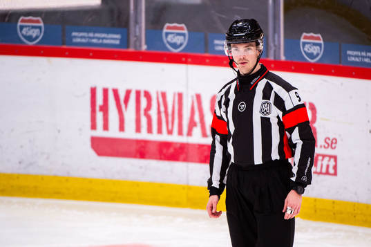 Domare Filip Eriksson
