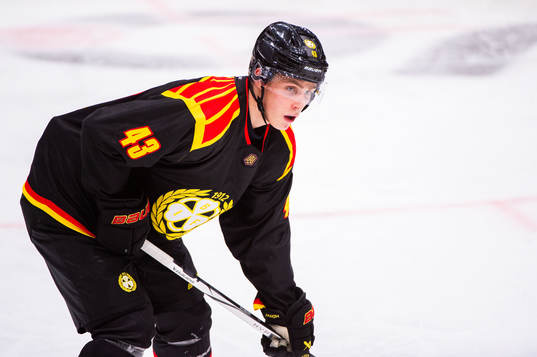 Brynäs Noel Nordh