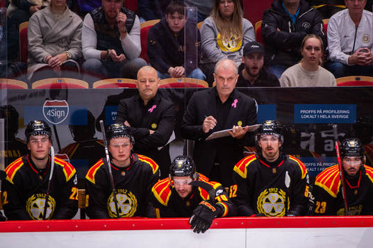 Brynäs huvudtränare Niklas Gällstedt och assisterande