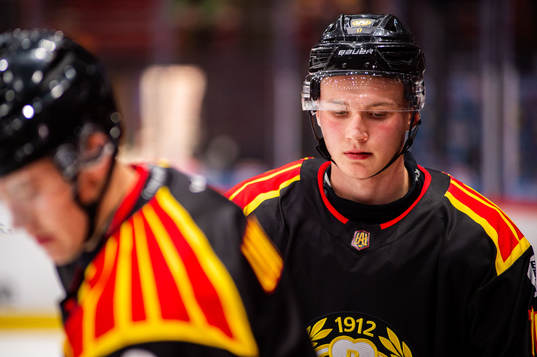 Brynäs Jonathan Karlsson