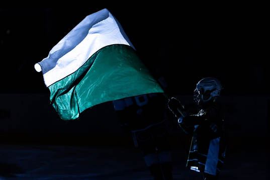 Fanbärare före ishockeymatchen i Hockeyallsvenskan mellan
