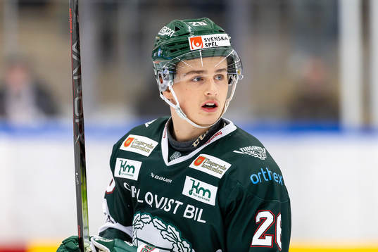 Tingsryds Isak Hellerstedt
