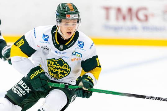 Björklövens Liam Dower Nilsson