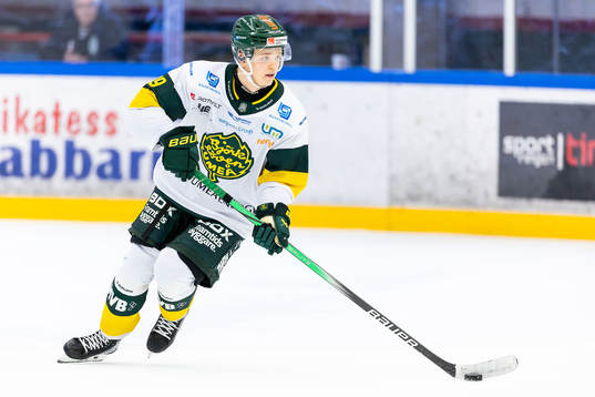 Björklövens Liam Dower Nilsson