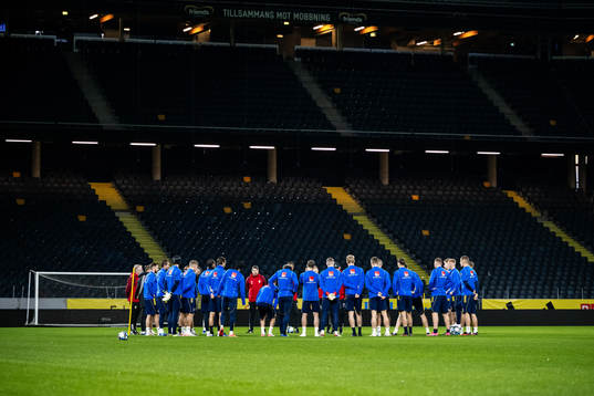 Players and coaching staff of the Swedish national football