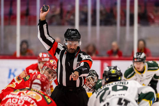 Domare Fredrik Rönngren