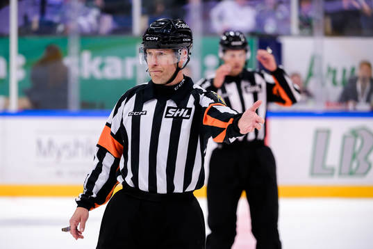 Domare Tobias Björk