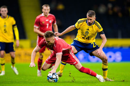 Oleg Reabciuc of Moldova and Marcus Rohdén of Sweden