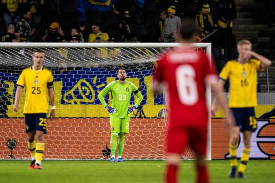 goalkeeper Kristoffer Nordfeldt of Sweden looks dejected