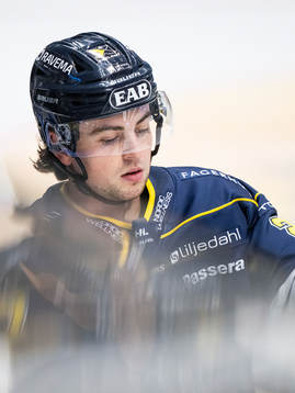 HV71s Robert Nardella