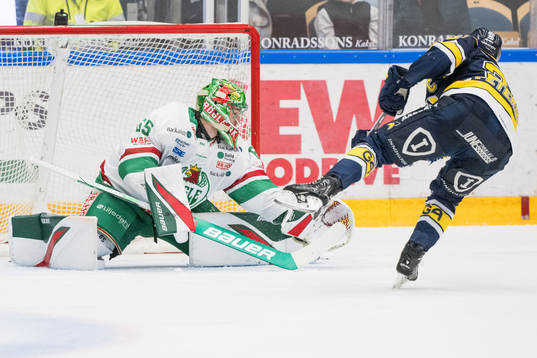 Rögles målvakt Christoffer Rifalk och HV71s André