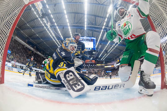 HV71s målvakt Joni Ortio och Rögles Riley Sheen