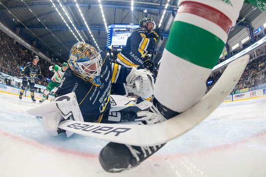HV71s målvakt Joni Ortio