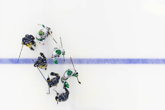 HV71s och Rögles spelare