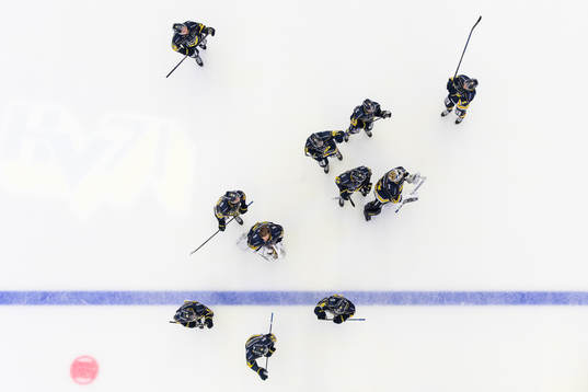 HV71s spelare tackar publiken
