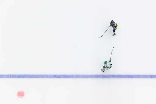 Rögles Brady Ferguson och HV71s Radan Lenc