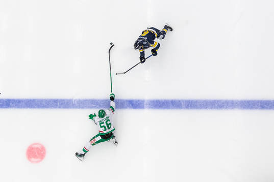 Rögles Adam Engström och HV71s Anton Strålman