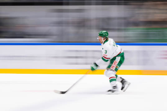 Rögles Michael Kapla