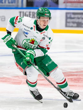 Rögles Adam Engström