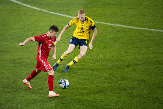 Vadim Rata  of Moldova and Hugo Larsson of Sweden