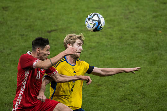 Maxim Cojocaru of Moldova and Filip Helander of Sweden