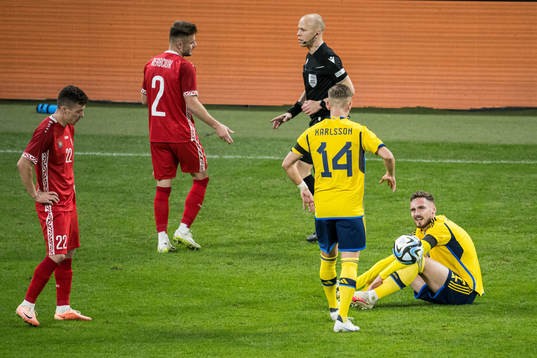 Linus Wahlqvist Egnell of Sweden in pain