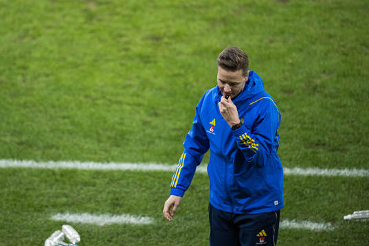 Goalkeeper coach Maths Elfvendal of Sweden