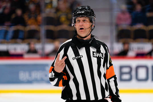 Domare Mikael Nord