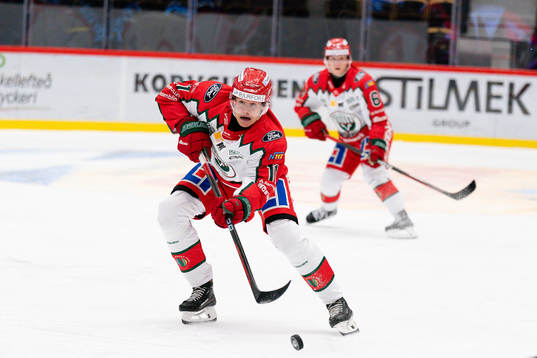 Frölundas Erik Borg