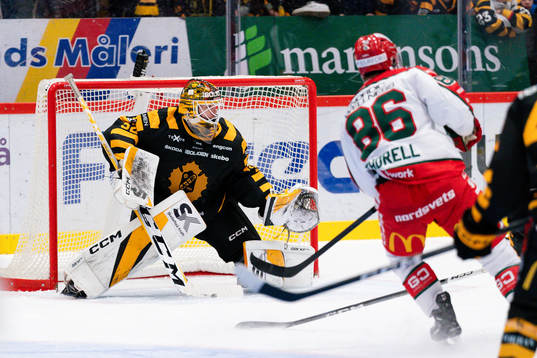 Skellefteås målvakt Linus Söderström
