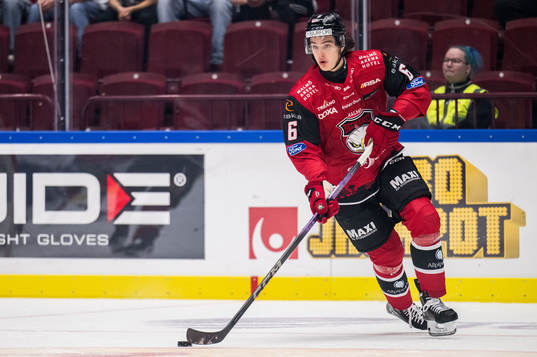 Malmö Redhawks Dominik Badinka